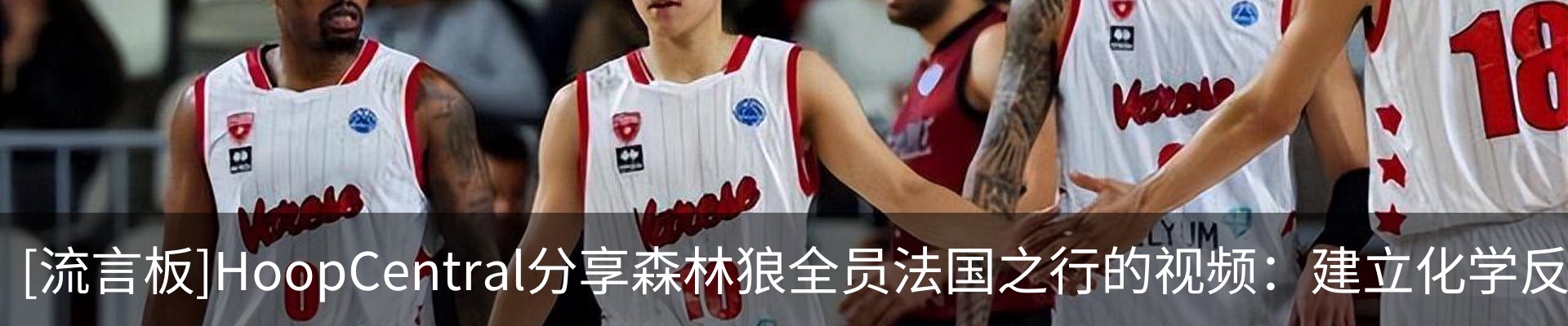 最新动态